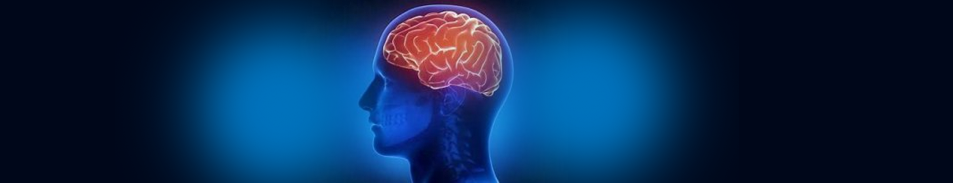 Excellence In Concussion Care Booking