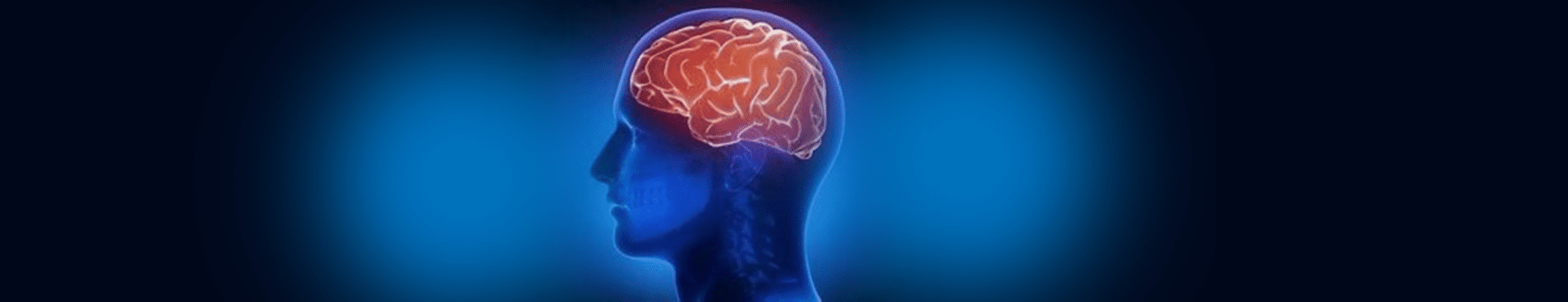 Excellence In Concussion Care Booking